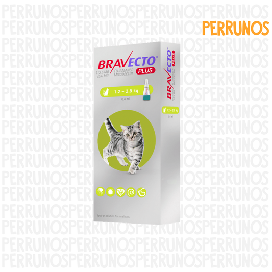 Bravecto Plus para Gatos 1.2 - 2.8 kg