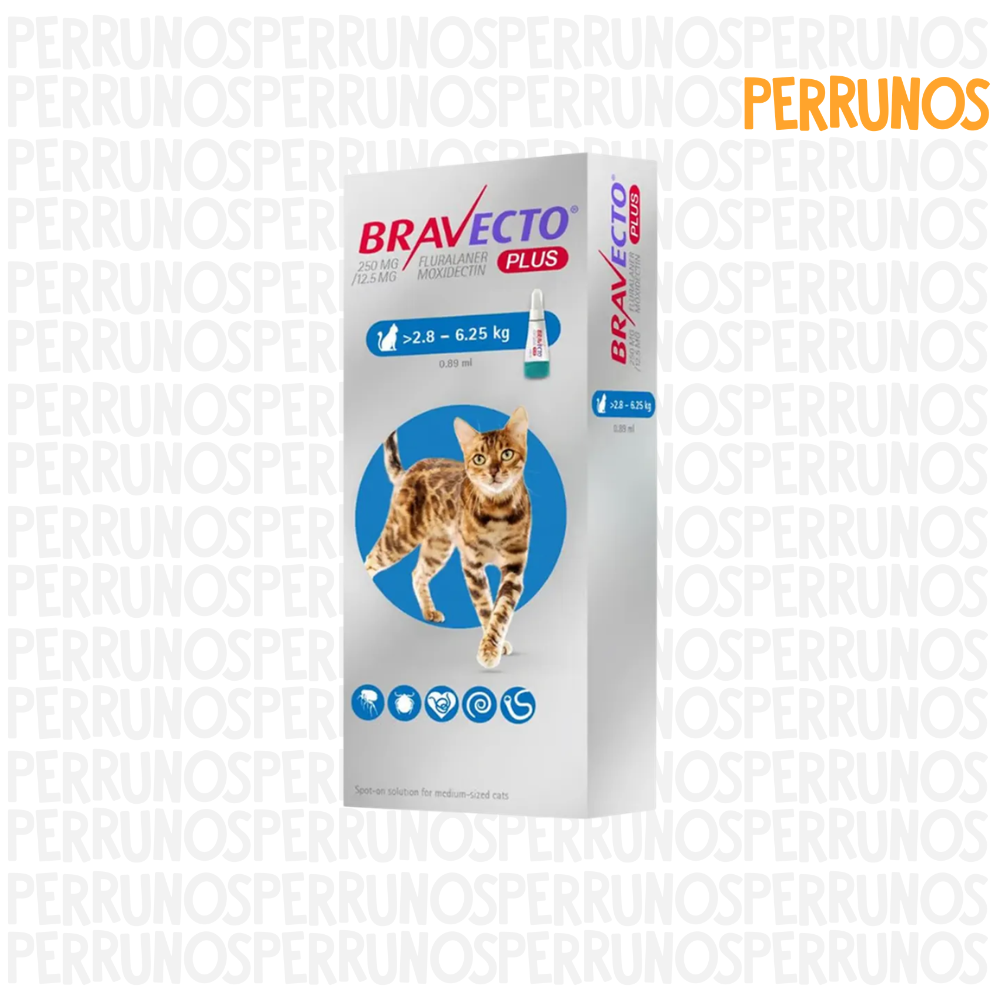 Bravecto Plus para Gatos 2.8 - 6.25 kg