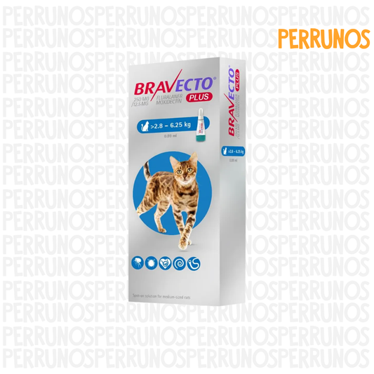Bravecto Plus para Gatos 2.8 - 6.25 kg