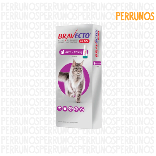 Bravecto Plus para Gatos 6.25 - 12.5 kg