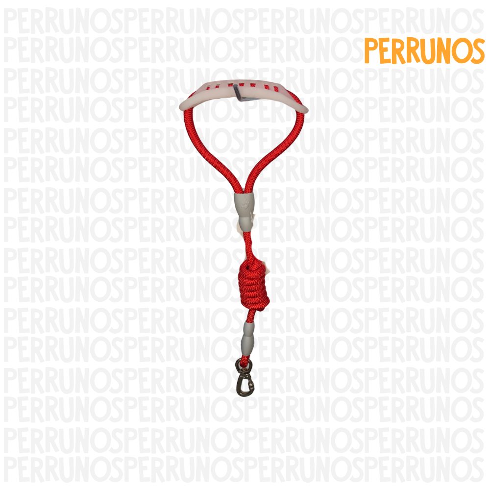 Correa Confort para Perros
